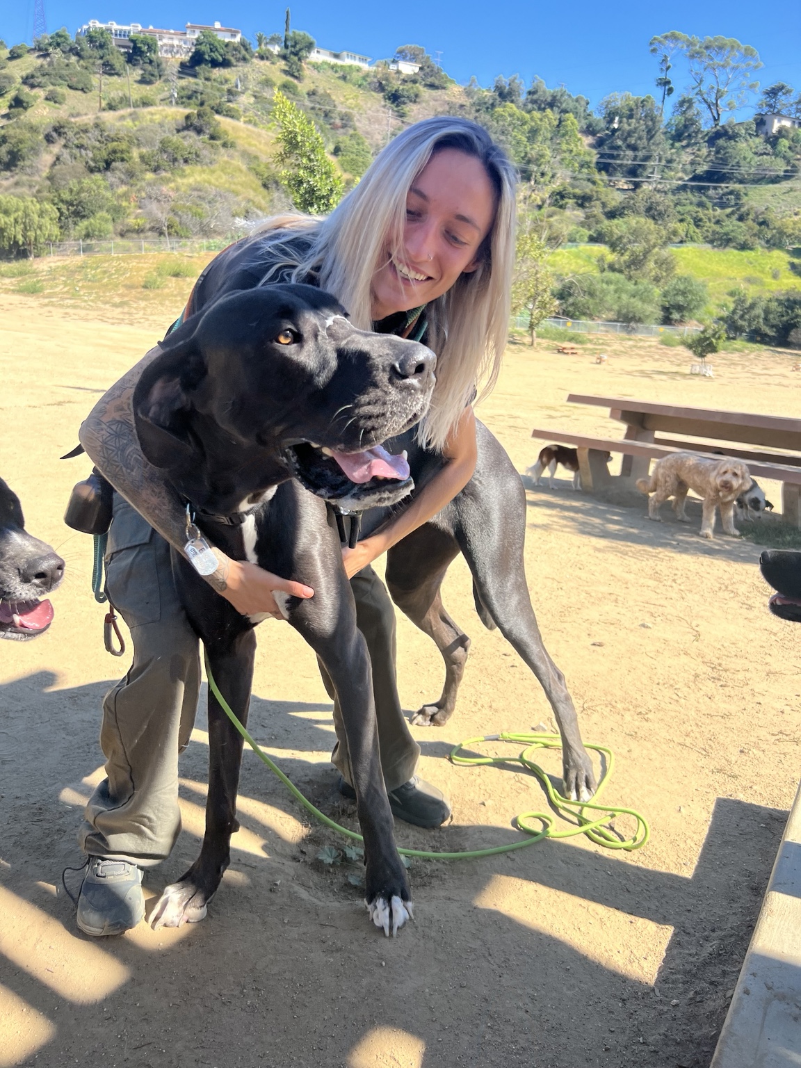 Sierra of Lucky Pack with a dog outdoors